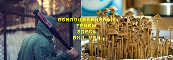mdpv Заволжск