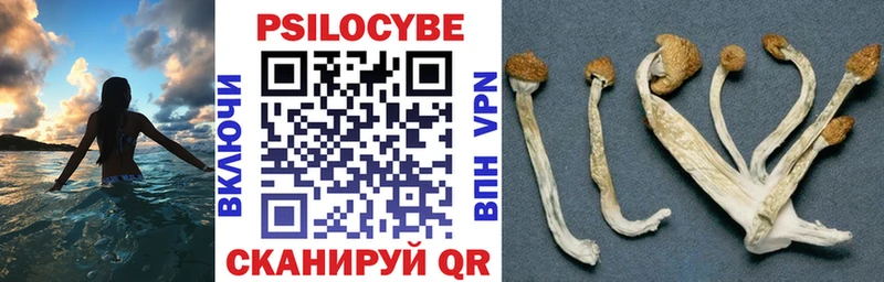 Купить  Нефтегорск  Галлюциногенные грибы ЛСД 